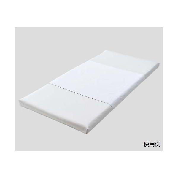 ϔMϋv\tg^IhV[ciƖpj1600×900mm@pEpC@PS1690P