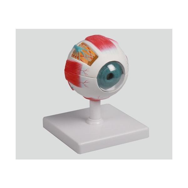 ዅ6f 100×100×120@4250395305242