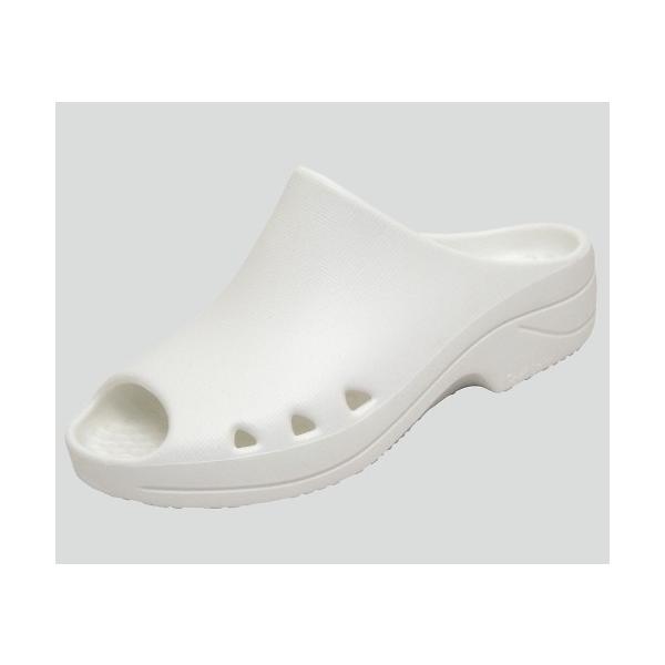 ppNbOOORv@QS@4982841869243