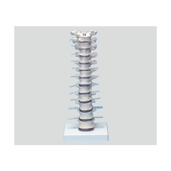 Ńf 385×150×130@4250395303323