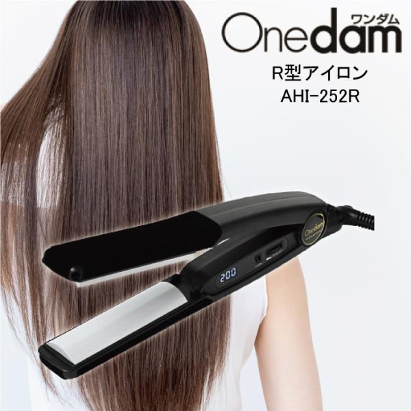Onedam ワンダム R型アイロン The STANDARD AHI-252R : maution