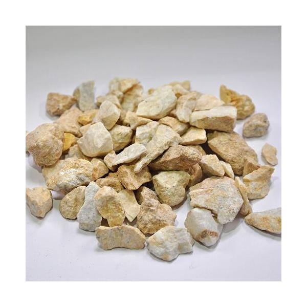 /NbV}[uiCG[j 6܃Zbgyll̔zBFŊ萼Z^ẢcƏ~߁B @ll̔zBFЂZɂ͂iԏntgvjz