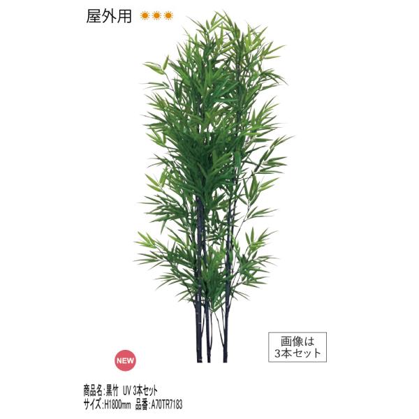 リフェイクグリーン 「黒竹UV 3本セット（台なし）」H1800mm 品番
