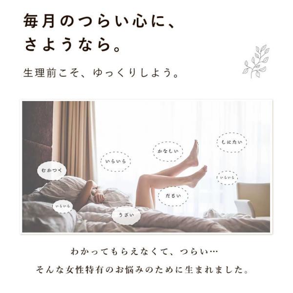 あれ イライラは たっぷりチェストベリー1000 チェストツリー サプリメント 120粒 Pms 生理前症候群 更年期 Buyee Buyee 日本の通販商品 オークションの代理入札 代理購入