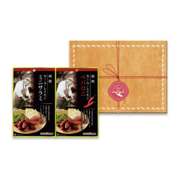 1000~ |bL T~ ypj Mtg 蕨  O^[ J[ECT~Zbg GL-A Yn  {n