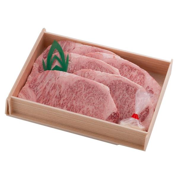 ӂ܃vCh  {~[g  T[CXe[Lp (Xe[Lp150g 5) Y A5N  Yn 