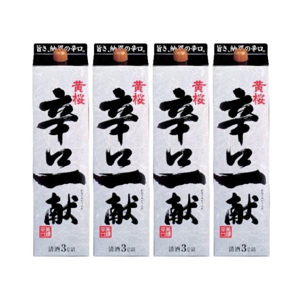  hꌣ pbN 3000ml 4{ { 񂹕i 