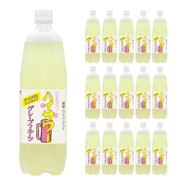  nCT[O[vt[c 1000ml 15{  Y_  񂹕i 