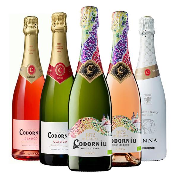 CODORNIU（コドルニウ） カヴァ 飲み比べ 750ml 5本 ワイン