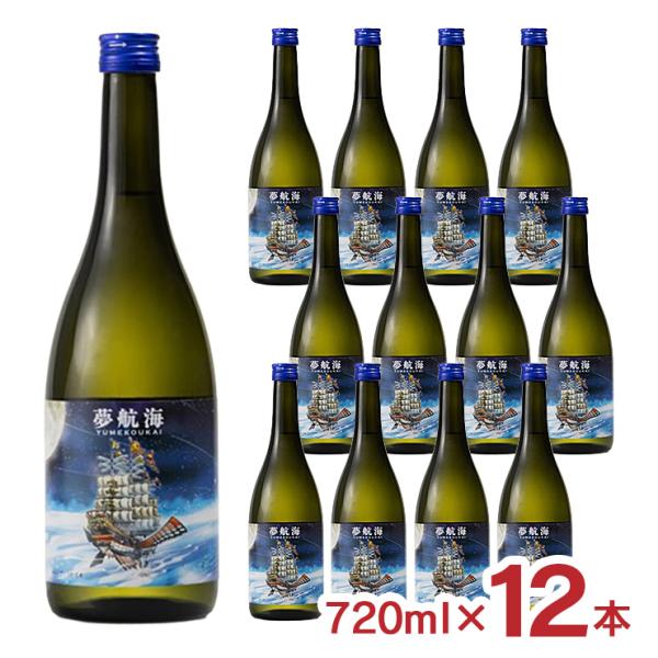 焼酎 泡盛 乙30°夢航海 720ml 12本 忠孝酒造 フルーティ 華やか 炭酸