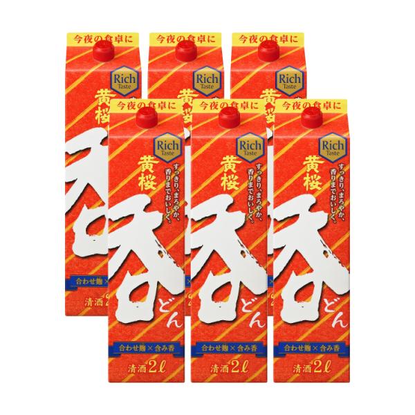   pbN 2000ml 6{ { 񂹕i 