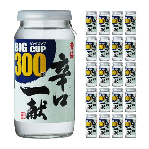  hꌣ rbOJbv 300ml 20{ { 񂹕i 