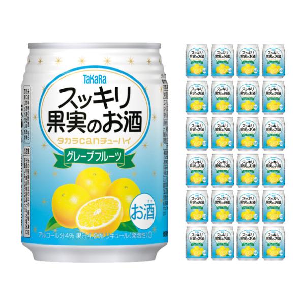  ^Jcan`[nC XbLʎ̂ O[vt[c 250ml 24{  񂹕i