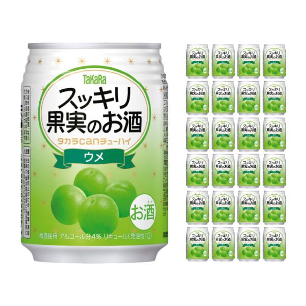  ^Jcan`[nC XbLʎ̂ E 250ml 24{  񂹕i