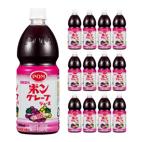 O[vW[X 800ml 12{ T[  񂹕i