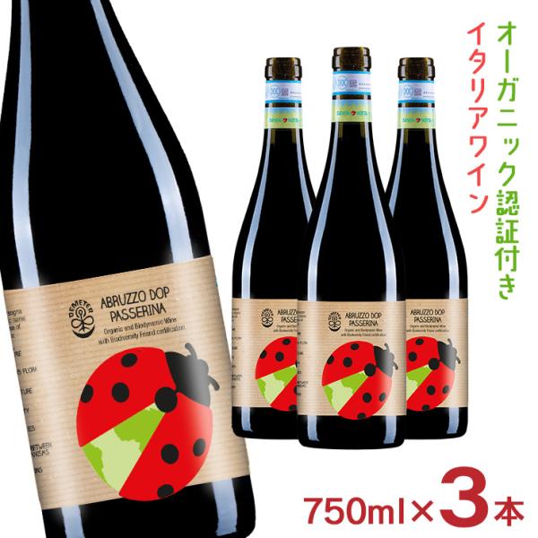 ワイン Taddy 2023 ドゥーカ・ディ・サラパルータ〈オーセンティック・フラッ
