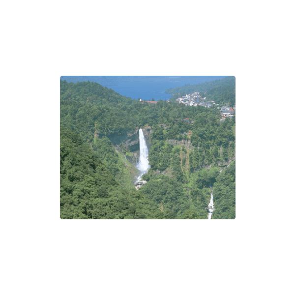 {݂̂₰@a@@Olւ̃v[g@}EXpbh^^،̑