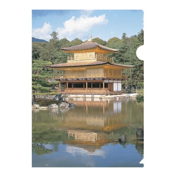 {݂̂₰@a@@{̊όNAt@C^t