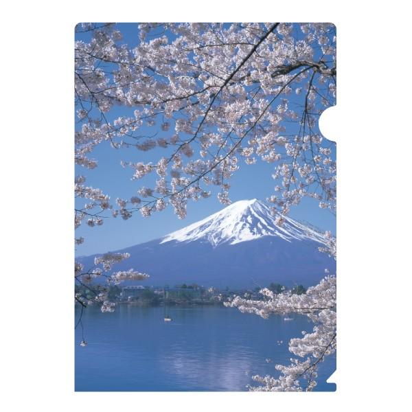 {݂̂₰@a@@{̊όNAt@C^xmR