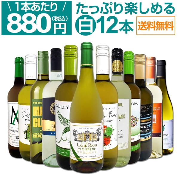 白ワイン セット スペイン フランス イタリア 12本 wine set 750ml 第109弾