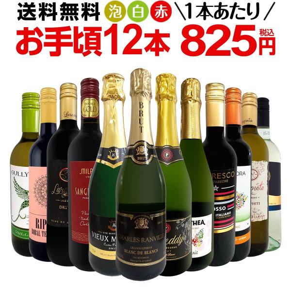 ワインセット10本(赤・白・スパークリング） ソムリエ厳選 赤白泡 MIX 10本 ワインセット [W] [WT67]［常温］【4～5