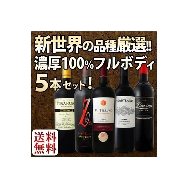 ワインセット 赤ワイン 新世界満喫の品種厳選のワールドツアーセット Wine Set Khabarbani Com