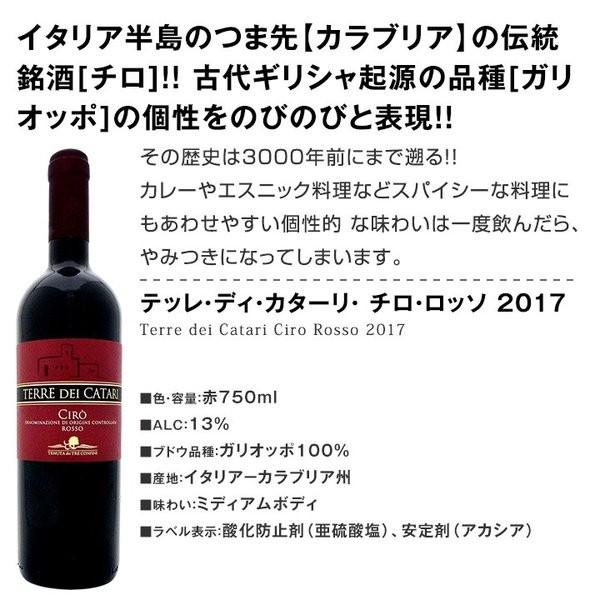 ワイン12本セット Wine Set 赤 白 ロゼ スパークリング オススメ激旨イタリアitaly Rose Www Wearefromdust Org
