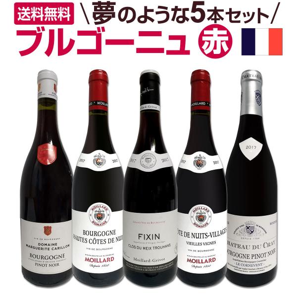 ブルゴーニュ赤ワイン　5本セット 赤ワイン セット フランス 5本 wine set 750ml France 厳選
