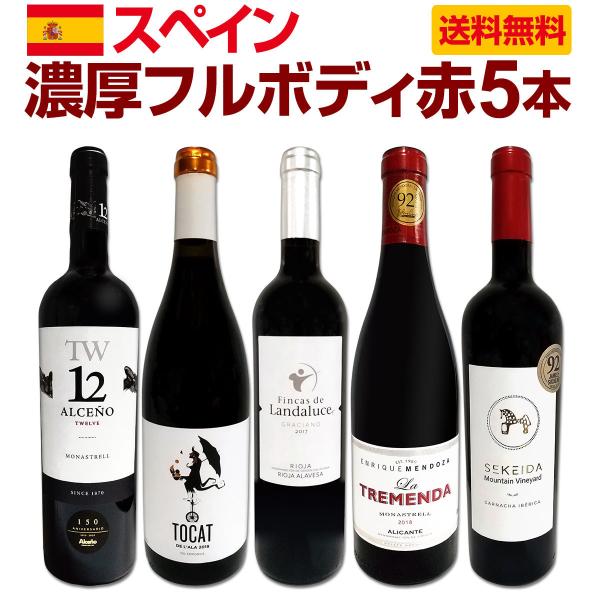 たっぷりコク旨 スペイン Spain 濃厚フルボディ赤ワイン wine 5本セット set