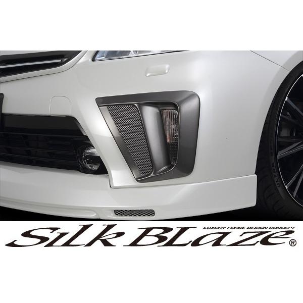 SilkBlaze VNuCY GA 30nvEX EBJ[Jo[ h s