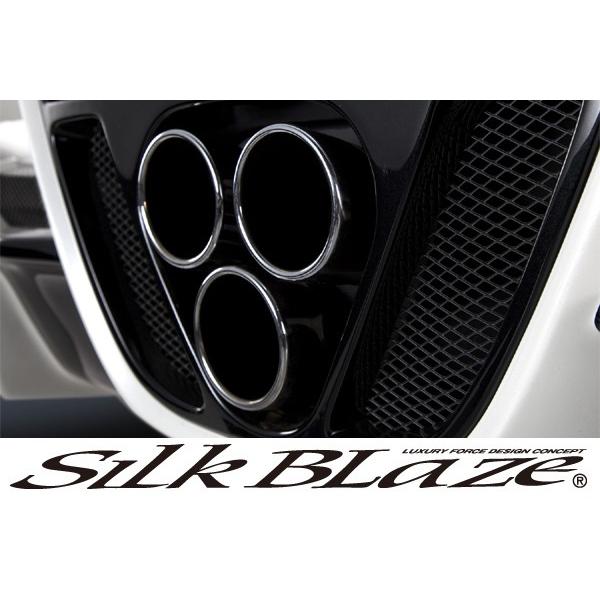 SilkBlaze VNuCYVNuCYGAp}t[ CR-Z s