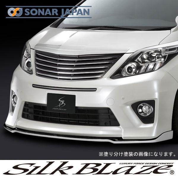 SilkBlaze VNuCY GA 20nAt@[h tgbv Type-S PFh si