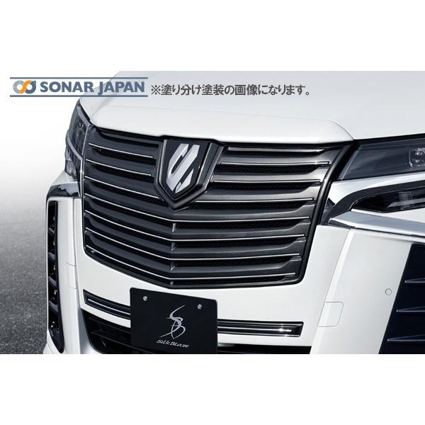 SilkBlaze VNuCY GA 30nAt@[hS tgO+t[hgbvSET PFh si