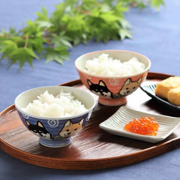 tokyodecor_shibainu-ricebowl