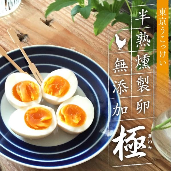燻製卵卵鳥骨鶏鳥骨鶏半熟燻製卵 極 東京うこっけい卵 Buyee Buyee 提供一站式最全面最專業現地yahoo Japan拍賣代bid代拍代購服務