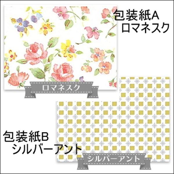 当店在庫してます フィスラー 圧力鍋プレミアムプラス 22cm 3 5l 92 03 11 511 送料無料 ギフト包装 のし紙無料 正規激安即納