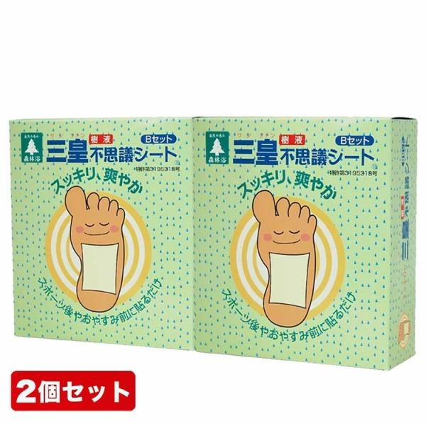 メーカー希望小売価格より33％引 足裏シート 樹液シート 三皇 不思議シートBセット 24枚 48駒 2箱セット 足 ジュクジュク