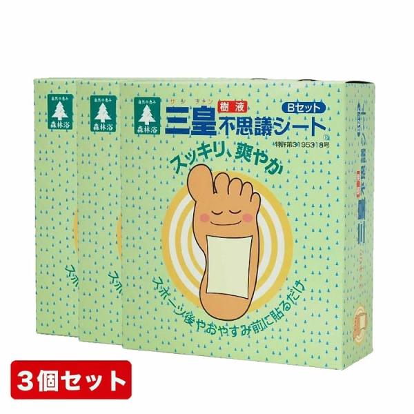 メーカー希望小売価格より36％引 足裏シート 樹液シート 三皇 不思議シートBセット 24枚 48駒 3箱セット 足 ジュクジュク