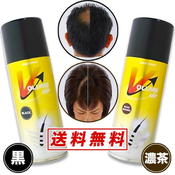 シルクシルバー(ヘアスプレー) 200g 12本セット