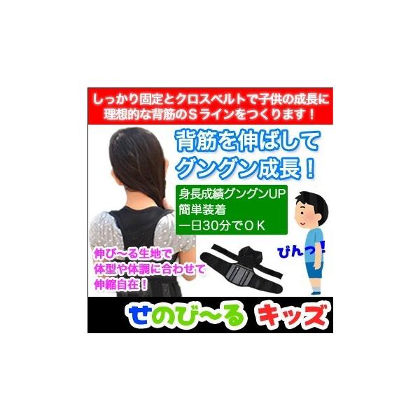 姿勢 矯正グッズ 子供の人気商品 通販 価格比較 価格 Com