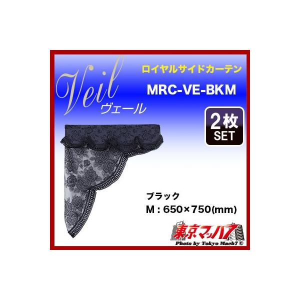 gbN J[e TChJ[e gbNpi F[ CTChJ[e M ubN/tWF@݌Ɍ