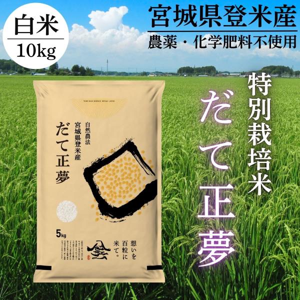 令和7年産 登米産 だて正夢 白米 10kg 特別栽培米 農薬・化学肥料不使用栽培米 宮城県産 精米 (5kg×2) 低アミロース米