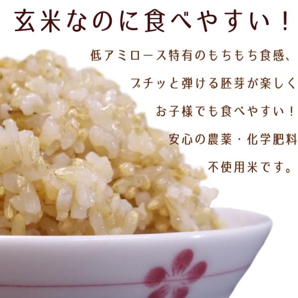 �ߘa7�N�Y ���̂��Ԃ� 5kg (2.5kg�~2)����  �{�� �o�� ���ʍ͔|�� �_��E���w�엿�s�g�p �H�������������邨�� ���ĐH��p ���i�摜2