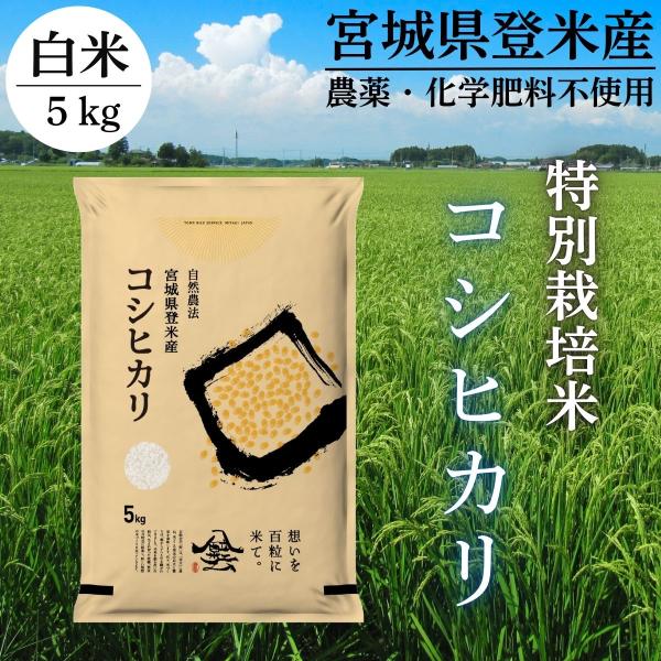 令和7年産 登米産 コシヒカリ 白米 5kg 特別栽培米 農薬・化学肥料不使用栽培米 宮城県産 精米