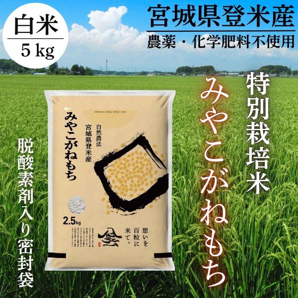 令和7年産  みやこがねもち 5kg  白米 特別栽培米 農薬・化学肥料不使用 もち米 宮城 登米  (2.5kg×2袋)  米 お米 おこわ