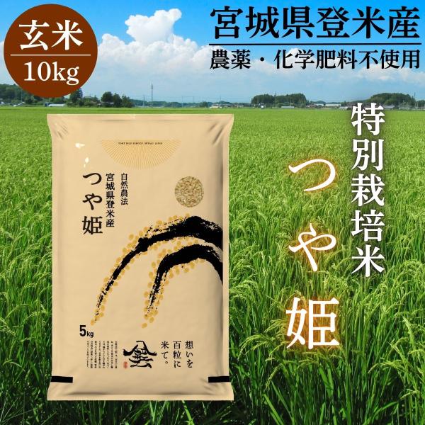 令和7年産 登米産 つや姫 玄米 10kg 特別栽培米 農薬・化学肥料不使用栽培米 宮城県産 精米 (5kg×2)