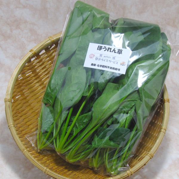 ほうれん草 (1束：150g) : 登米ライスサービス - 通販 - Yahoo