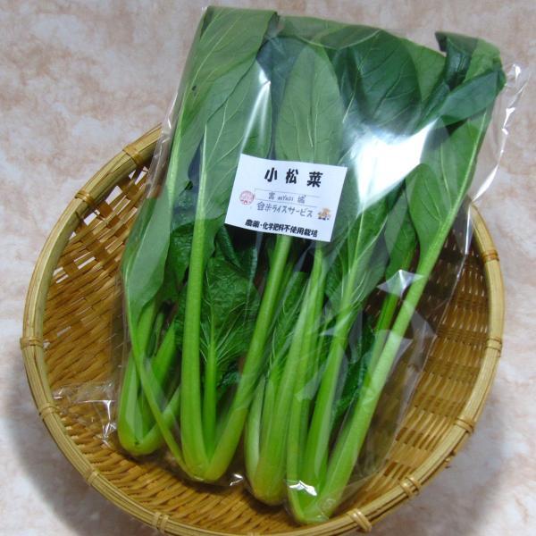 お待たせしました、旬の葉物野菜の小松菜が販売開始です！アクも少なく、炒め物やおひたしなどいろいろな料理で美味しくいただけます。もちろん農薬・化学肥料を使わずに育てました！○生産地：宮城県登米市