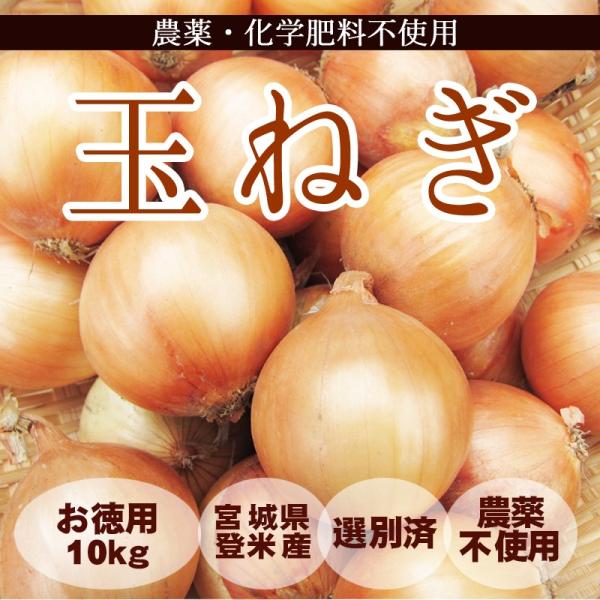 玉ねぎ (お徳用10kg)