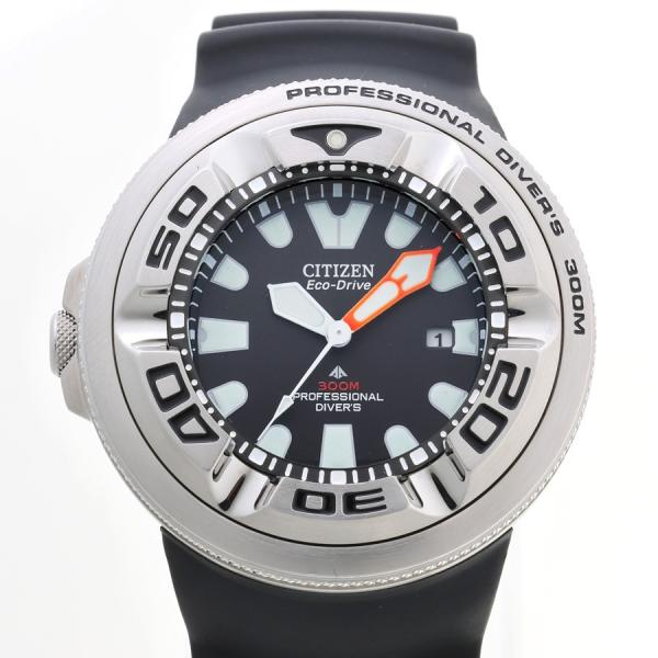 PROMASTER PROFESSIONAL DIVER